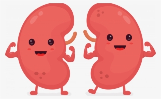 Automatic Reporting Improves Kidney Patient Outcomes - Healthy Kidneys