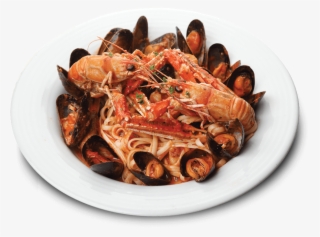 Home » Coia's Cafe - Fettuccine