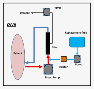 Acute Kidney Injury Requiring Renal Replacement Therapy, - Diagram