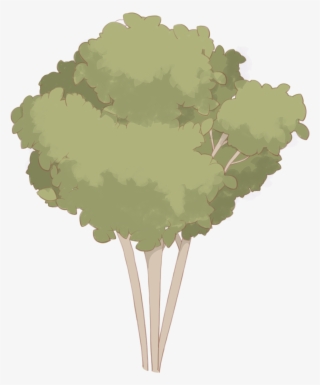 Hand Painted Plants Flowers Trees Png And Psd - Plane