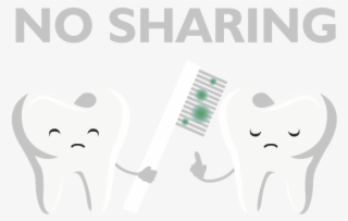 Never Share Your Toothbrush, As This Can Spread Infections - No Sharing Toothbrush