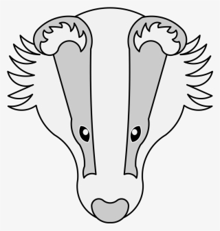 Badger's Head Cabossed