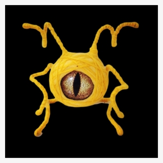 Insect