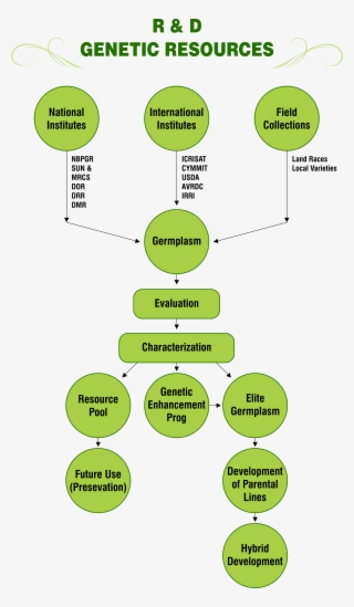 R & D Genetic Resources Png - Genetic Resources