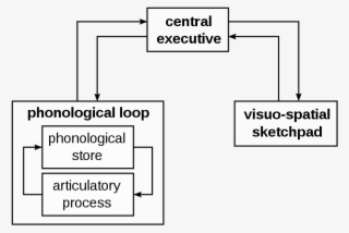 Working Memory Model - Diagram