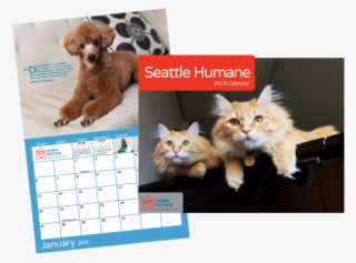 Each Month Of The Calendar Features An Adorable Seattle - Cat Grabs Treat