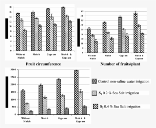 Reproductive Parameters As Affected By Mulch And Gypsum - Number