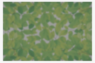 Material Hauling - Camouflage