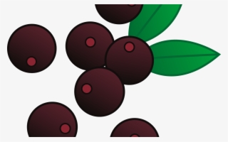 Berry Outline Cliparts Free Download Clip Art Free - Red Berries Clip Art