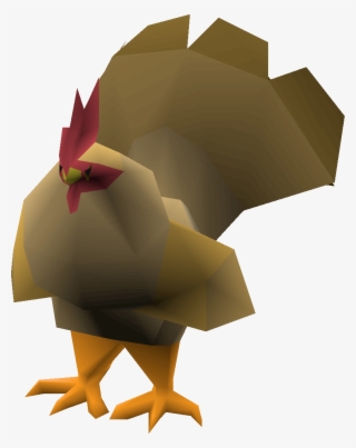 Rooster