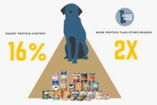 Naked Chow Web Images - Labrador Retriever