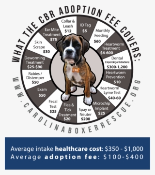 Cbr Cost Web - Ask Silly Questions Chocolate Understands