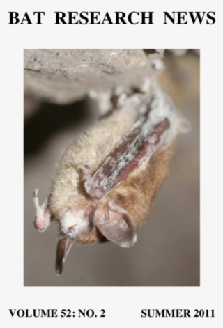 Pdf - Pest