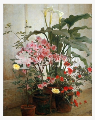 Side Of A Greenhouse