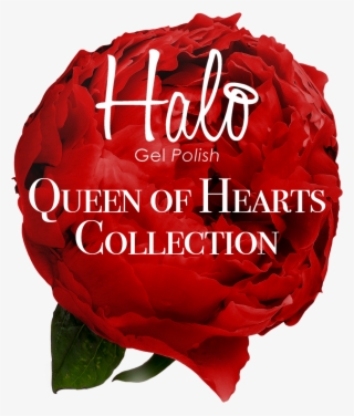 Introducing The Halo Gel Polish Queen Of Hearts Collection, - Valentine's Day