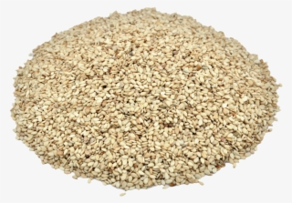Herbs & Botanicals-sesame Seeds - Hulled Sesame Seeds