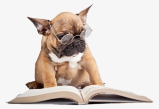 Recent Articles By Dr - Animal Read Png