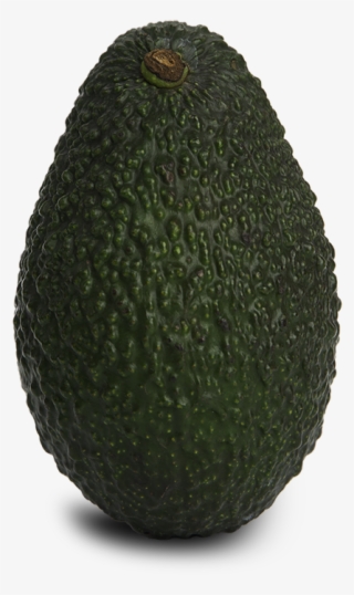 The - Avocado