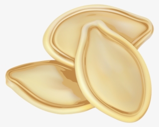 Pumpkin Seeds - Pumpkin Seed