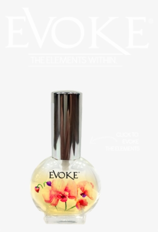 The Canadian Perfume Brand Evoke Is Created By Eco-expert - Perfume