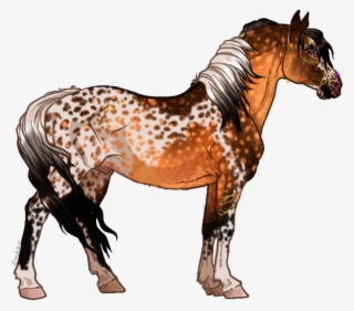 Ss Lost In A Fake Reality - Seal Bay Horse Sabino