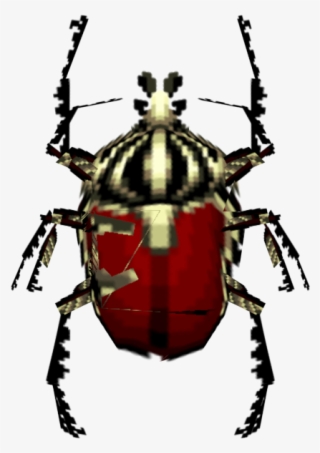 Download Zip Archive - Tiger Beetle