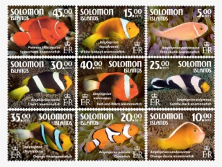 Issue Of Solomon Islands Postage Stamps - Types Of Anemone Fish