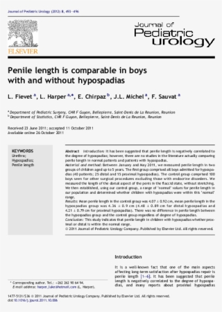 Pdf - Text Page - Holy Land - The Necropolis