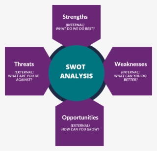 Swot Analysis For Tourism Operators - Book