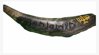 Shofar Png