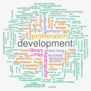 Stem Loop Sequence Oni Let 7d - Depuy Institute