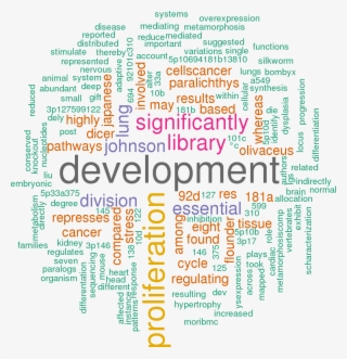 Stem Loop Sequence Oni Let 7a - Hsa Let 7a 3p 5p 3 Utr