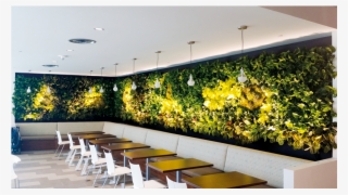 Living Wall 05 - Green Wall