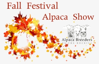 Fall Leaves No Background