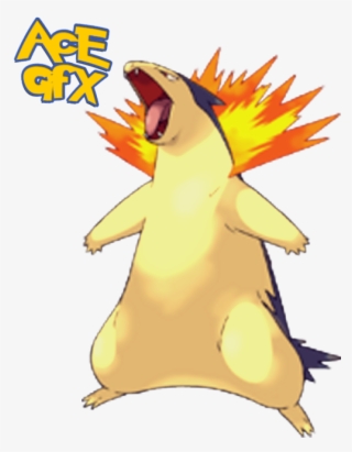 Photo Typhlosion - Cyndaquil Evolve