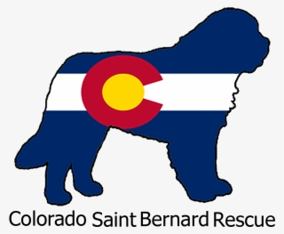 Colorado State Flag