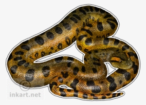 Green Anaconda Decal - Green Anaconda Wall Clock