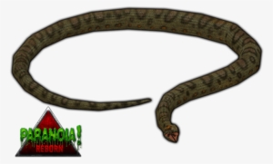 Giant Anaconda Paranoia By Budhiindra-d63aaz2 - Zoo Tycoon 2 Green Anaconda