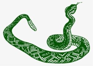 Anaconda Clipart Jungle Snake - Serpiente Blanco Y Negro