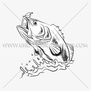 Bass Swim - Drawing