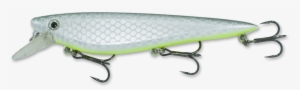 Chartreuse Belly Shad - Studio Couch