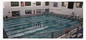 Spectator Seating
