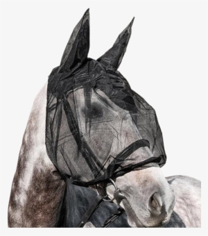 Horse Fly Mask By Equiline - Equiline Fly Mask