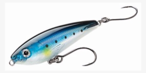 Almost All Fishing Plugs Come Equipped With Treble - Color