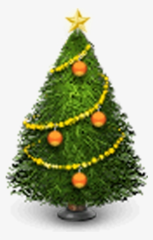 Nordmann, Douglas And Noble Fir Christmas Trees Wholesale - Christmas Tree Lot Png