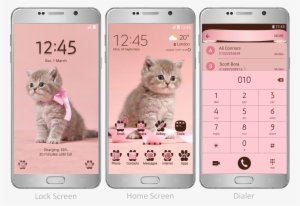 Cute Cat