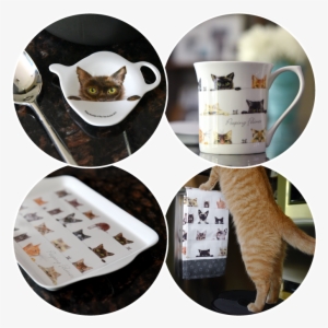 The Attention To Detail In Each Small Kitty Is Really - Tabby Cat