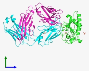 Ribbon Structure Of 3mxw - Protein
