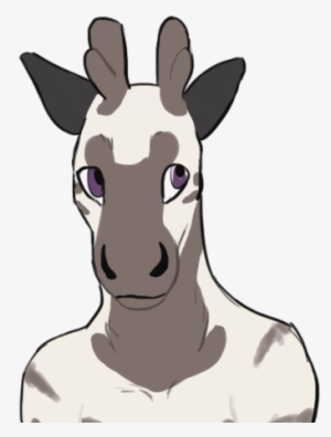 I Didn't Forget To Upload Shh - Giraffe