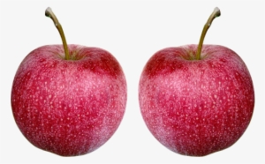 Apple, Fruit, Juicy, Food, Healthy - Apple